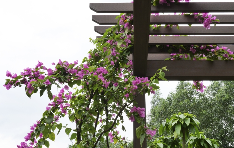 LAM GỖ NHỰA NGOÀI TRỜI - PERGOLA LAM GỖ CHỐNG NẮNG