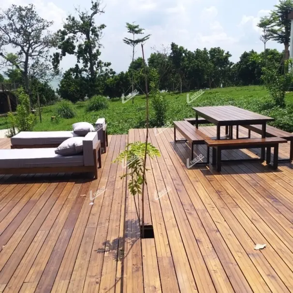 Gỗ Biến Tính LINECO Sử Dụng Ngoài Trời Không Bị Mối Mọt, Mục Nát Hay Nấm Mốc