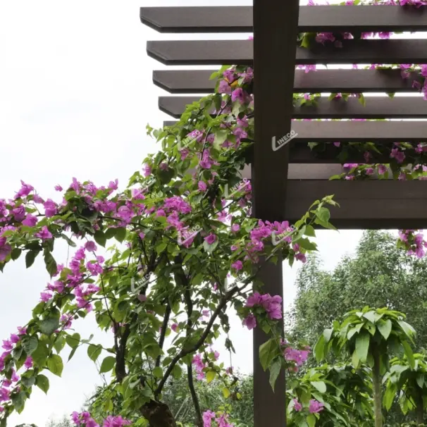 LAM GỖ NHỰA NGOÀI TRỜI - PERGOLA LAM GỖ CHỐNG NẮNG